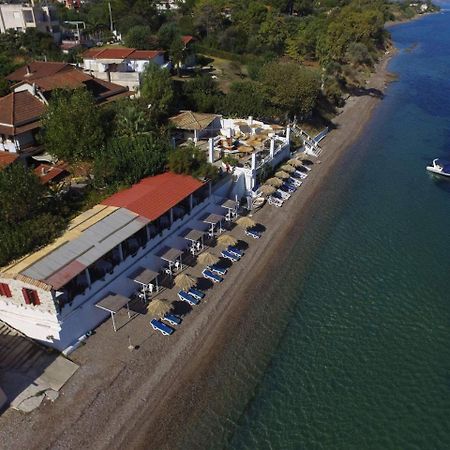 Taradella Hotel Alissos エクステリア 写真