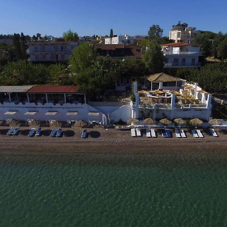 Taradella Hotel Alissos エクステリア 写真